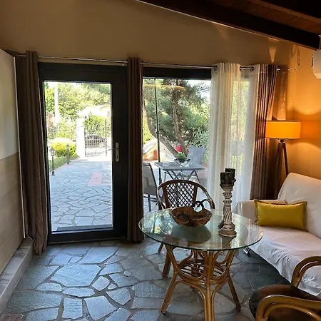 ανεμώνη Leptokarya (Pieria)